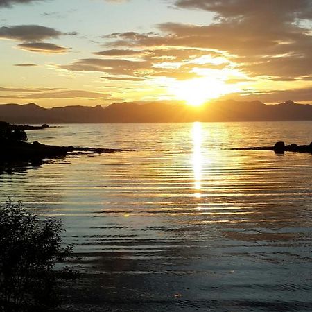 Prima Lofoten Myrland Kültér fotó