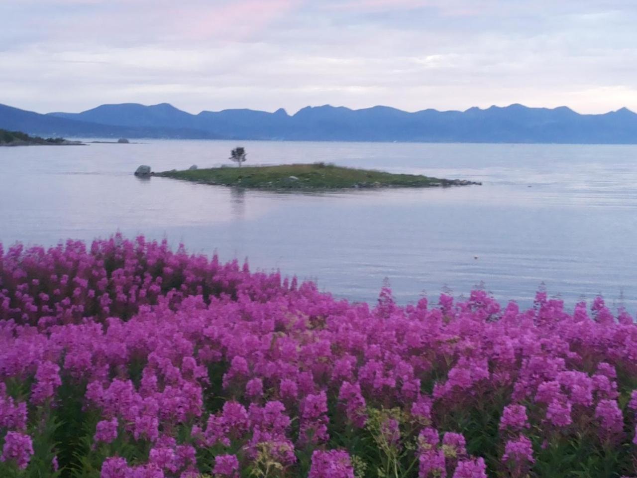 Prima Lofoten Myrland Kültér fotó