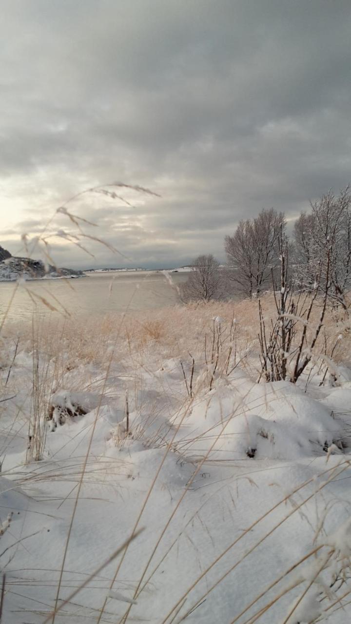 Prima Lofoten Myrland Kültér fotó