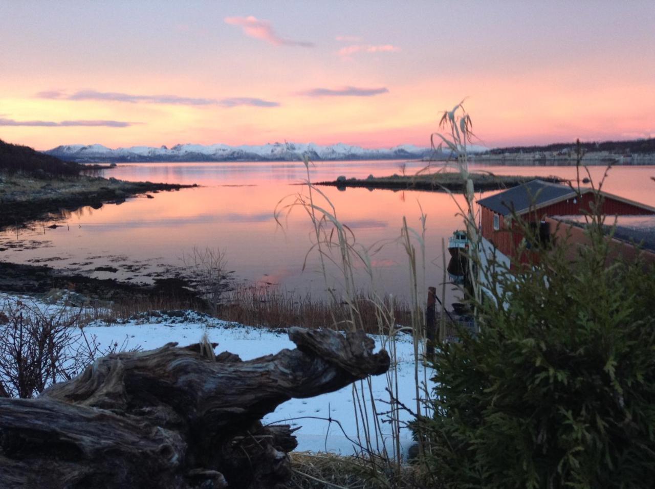 Prima Lofoten Myrland Kültér fotó