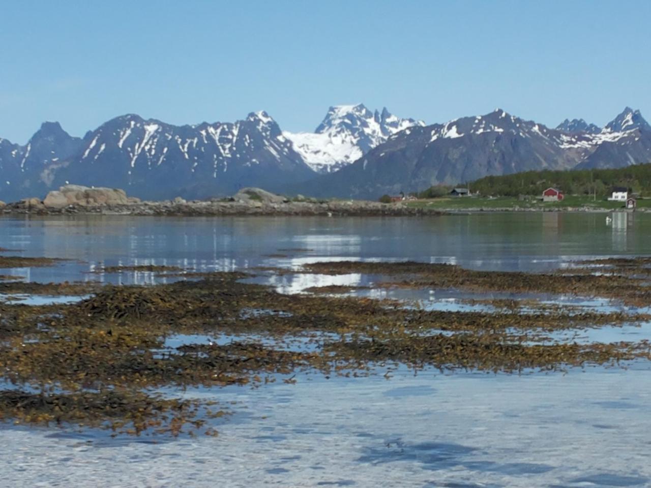 Prima Lofoten Myrland Kültér fotó