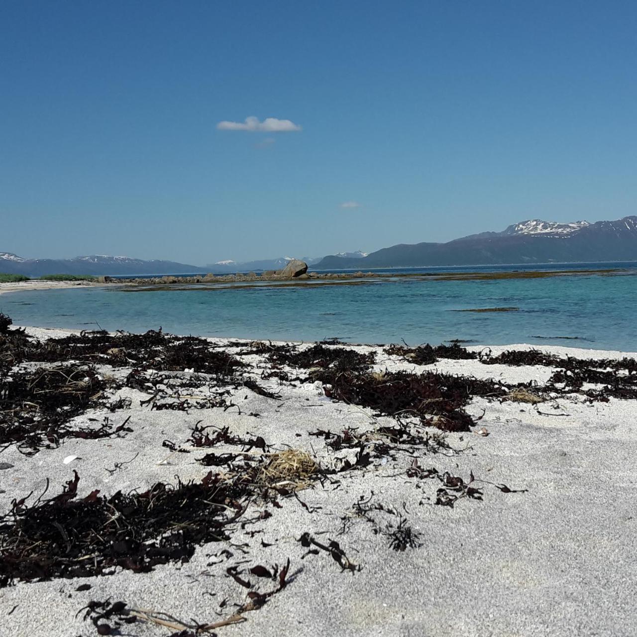 Prima Lofoten Myrland Kültér fotó