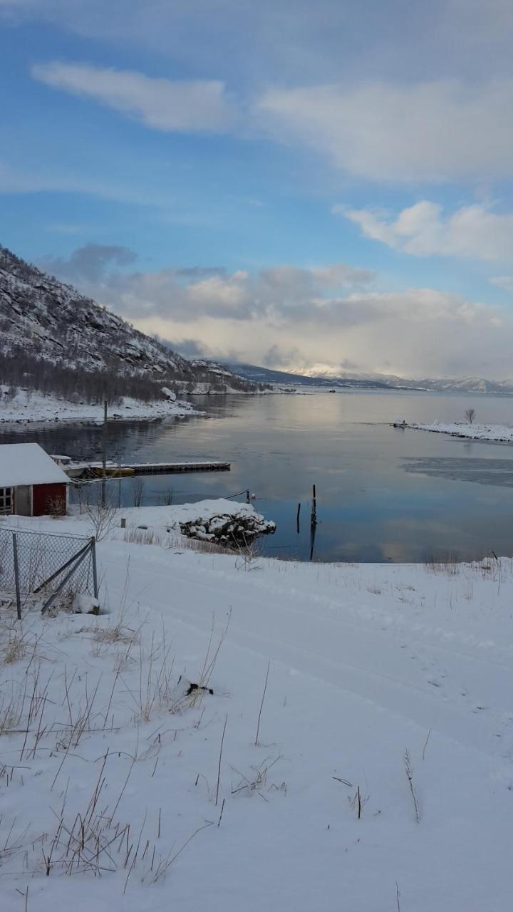 Prima Lofoten Myrland Kültér fotó
