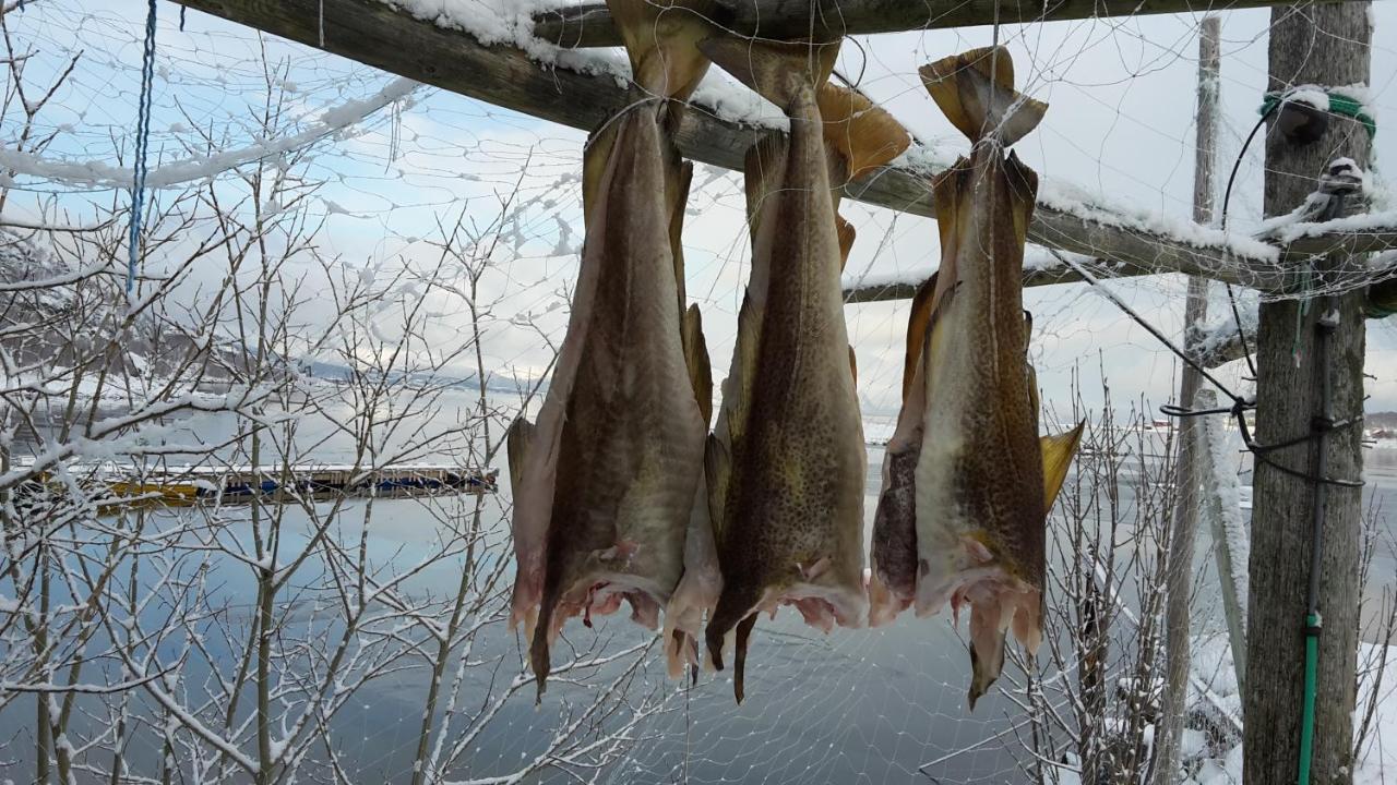 Prima Lofoten Myrland Kültér fotó